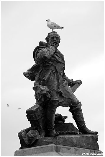 une statue de Georges Bareau de Saint Malo faisant office de perchoir-reproduction interdite sans accord pralable de l'auteur- 2010 Christophe Letellier tous droits rservs.